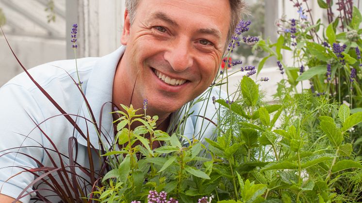 Odlarna bakom Tareq Taylors sommarfavoriter