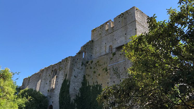Vectura i Almedalen