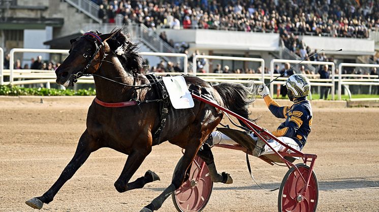 Lotteria-segraren Capital Mail är klar för sista söndagen i maj. Foto: TR Bild