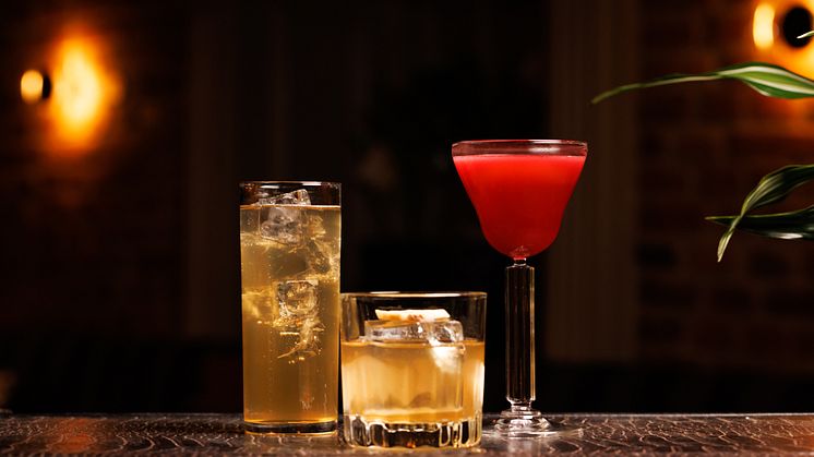 Tre lyxiga och enkla cocktails på endast tre ingredienser – Här är nya D.E.W. Drinks