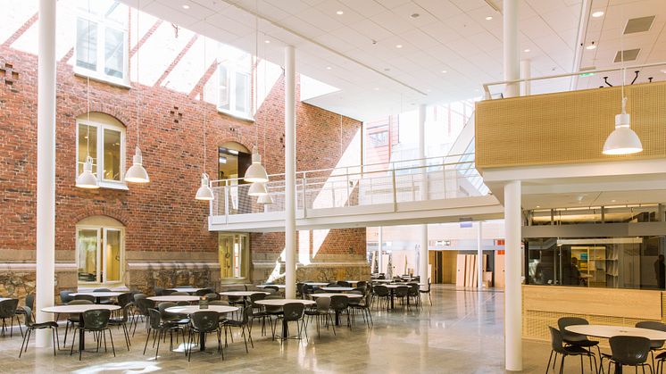 LUX, Lunds universitet