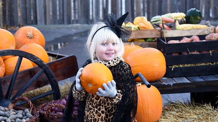 Halloween på Furuvik är tillbaka