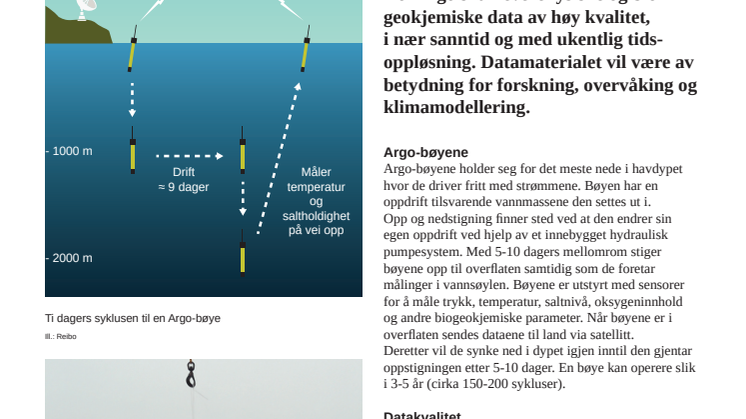 ​Bøyer for havovervåking - Den norske Argo infrastrukturen 