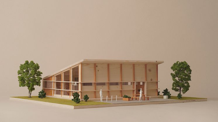 Design Alina Piatanova