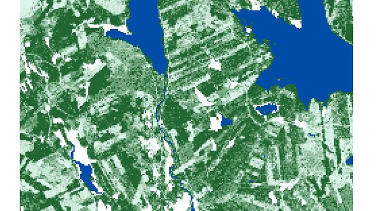 Utsnitt ur ny digital skogskarta från SLU