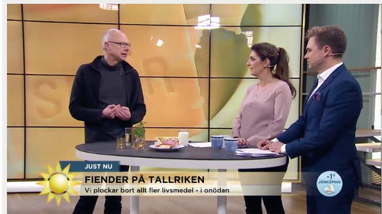 Daniel-i-TV4