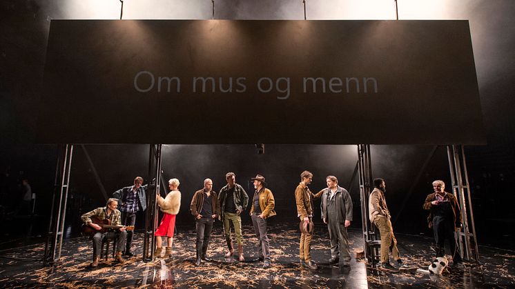 Framsyningsfoto Om mus og menn