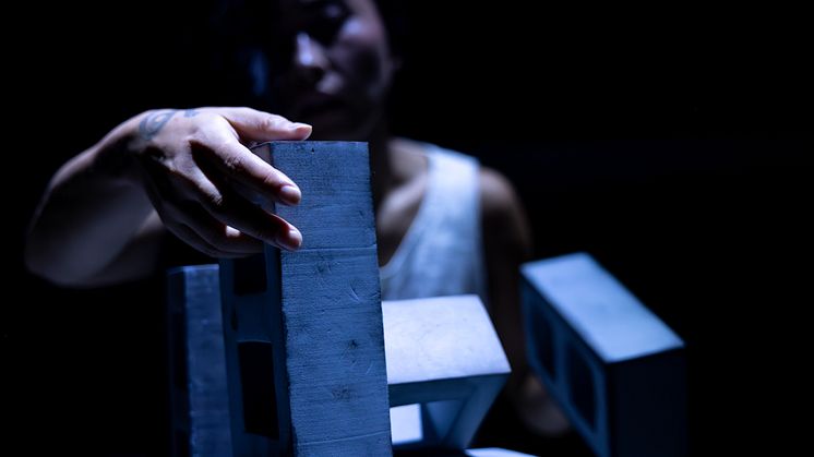 Architecture of Violence