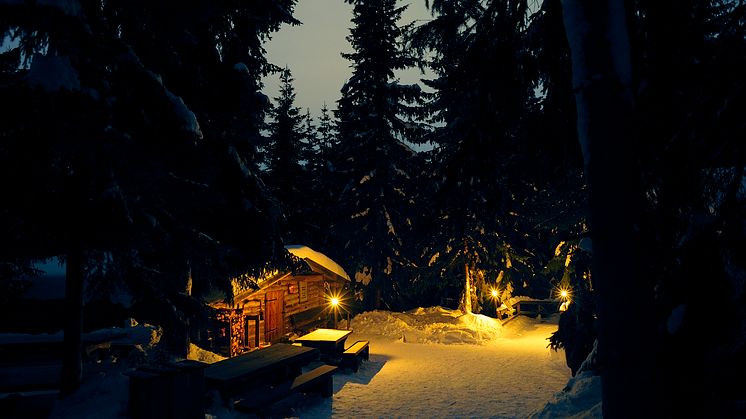 Ute Vinter