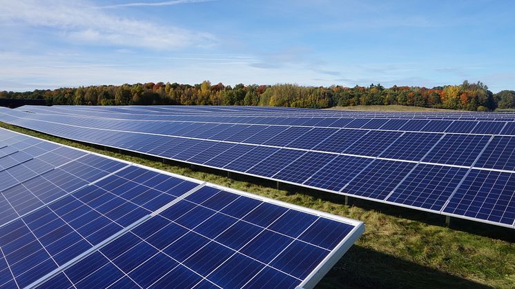 Lokal aktör investerar stort i Törneby Solpark