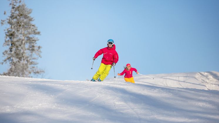 Härliga Kungsberget