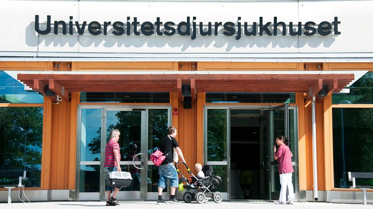 UDS - Universitetsdjursjukhuset