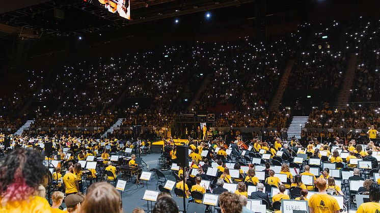 Festival Concert-2-2024-Thom Estifanos.px.jpg