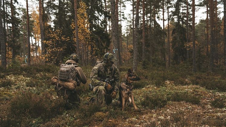 Foto: Kristoffer Olofsson/Försvarsmakten