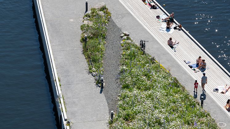 Inger Munchs brygge juni 2021
