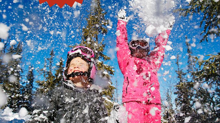 SkiStar AB: Älska snö! 