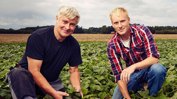 Hettan får svenska gurkor att växa i rekordfart