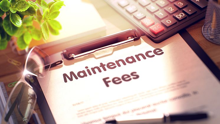 maintenance fees