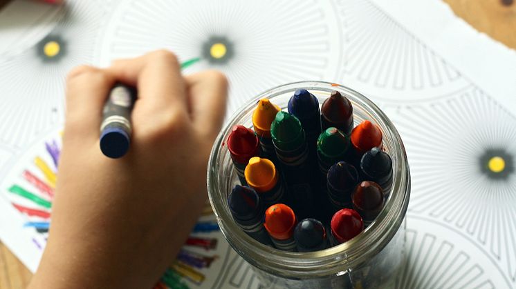 Inom kort ges möjligheten för pedagogiskt verksamma i förskolan att gå en ny utbildning, Förskollärarprogrammet, i Kalmar eller Växjö - få en förskollärarexamen och samtidigt kunna tillgodoräkna sig sin arbetslivserfarenhet.