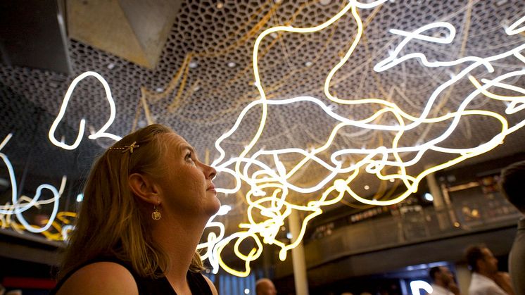 The art in the libary