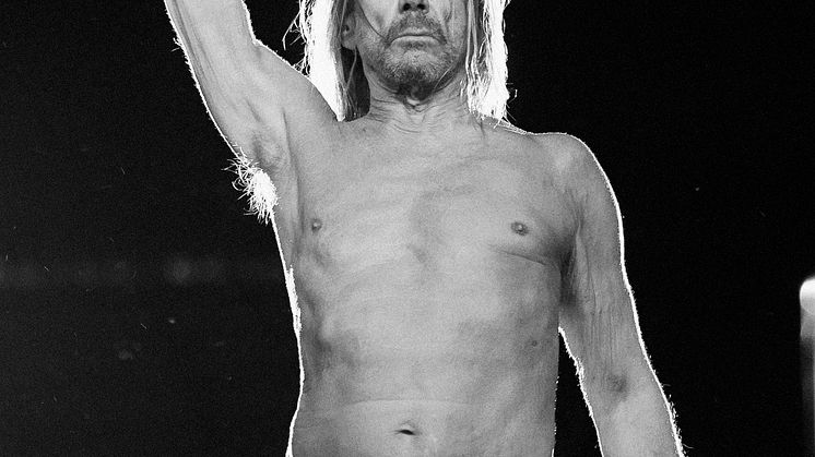 Iggy Pop – photo by Ross Halfin
