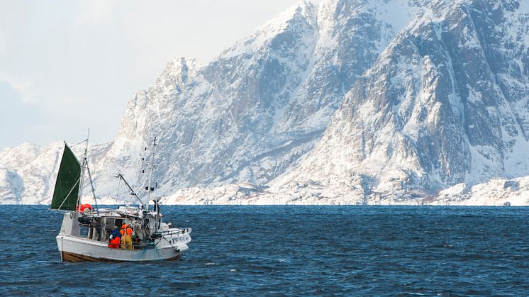Damals so wie heute wird mit kleinen Skrei-Booten gefischt