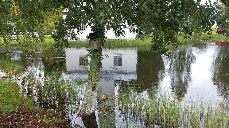 Foto: Karolina Grundin/IVL