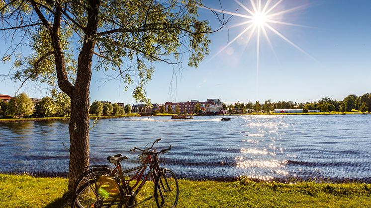 Generell solig sommarbild från Boden. Foto: Mats Engfors/Fotographic
