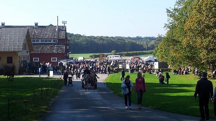 Besöksrekord på Tjolöholms skördefest