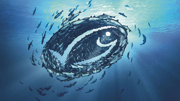 Orkla Foods Sverige satsar på 100% MSC-märkt fisk