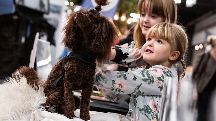 Hundtätt med 8 700 hundar på årets MyDOG