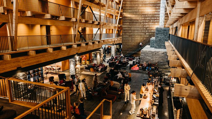 Copperhill Mountain Lodge