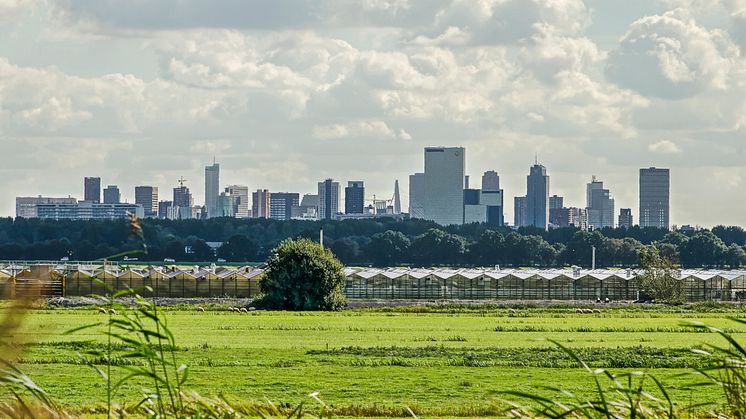 Att städer drar till sig talang ökar klyftan mellan stad och landsbygd. Foto: iStock