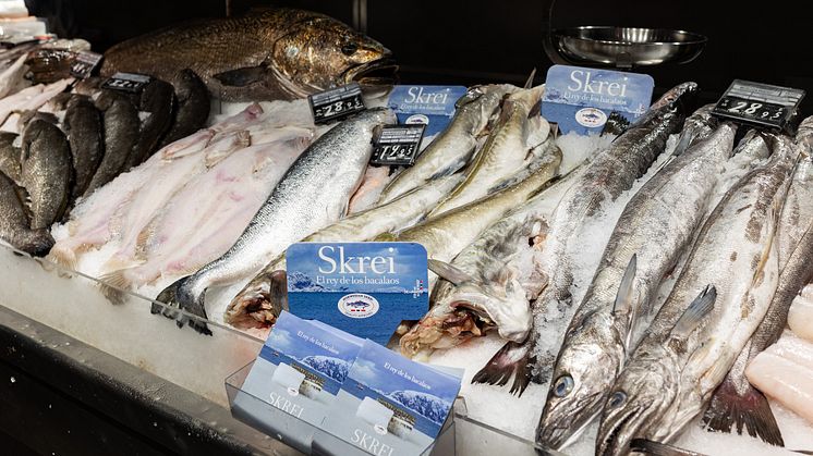Skreien var godt synlig i fiskediskene rundt om i Europa. Her fra Spania. Totalt ble det eksportert 4 212 tonn skrei fra Norge under årets skreisesong, til en verdi av 282 millioner kroner. Foto: Norges sjømatråd