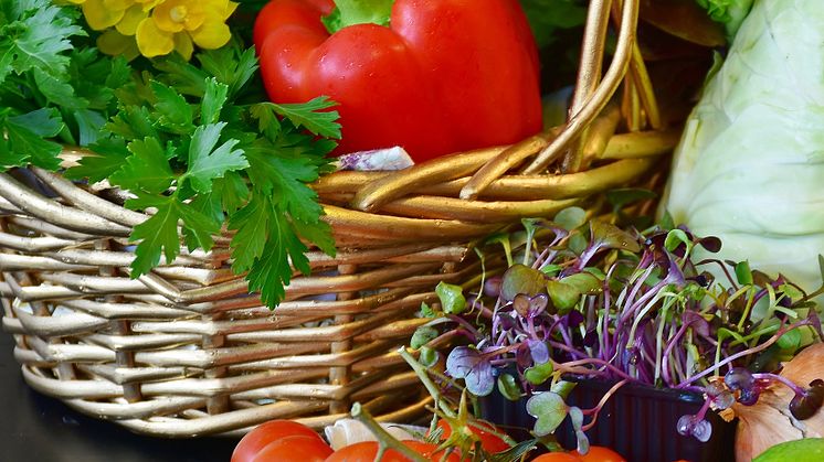 Vegetables freigestellt_RitaE auf Pixabay