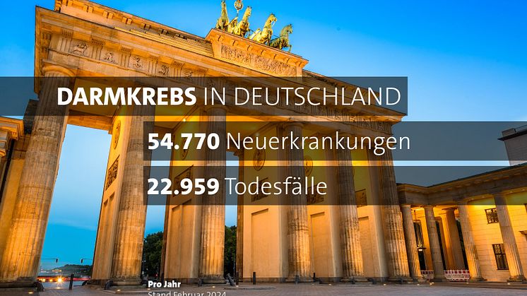 2024: Darmkrebs in Deutschland