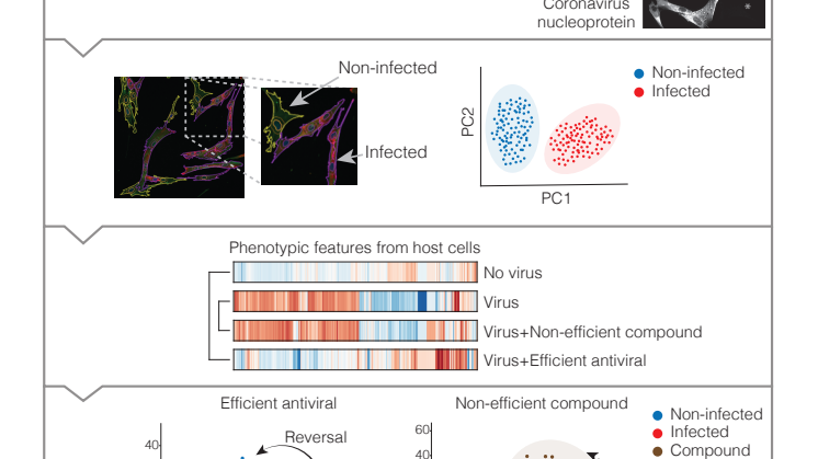Graphical abstract_Rietdijk et al_BMCB-D-21-00219.pdf
