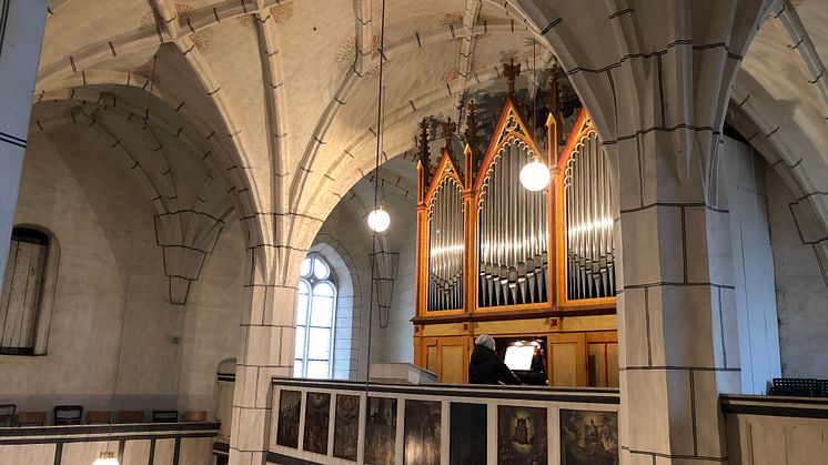 Eilenburg: Geißler-Orgel in der Bergkirche St. Marien