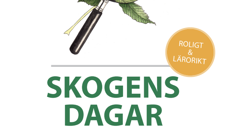 Tusentals skolelever till Lindängelund