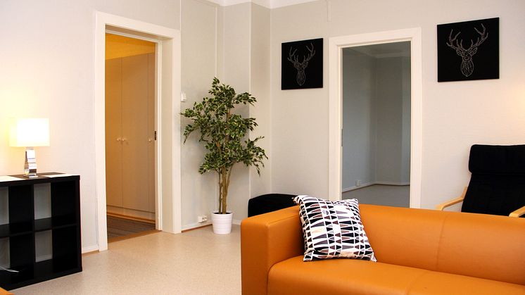 Stuen har blitt et trivelig oppholdsrom og midtpunkt i leiligheten. Foto: Anine Johnsen
