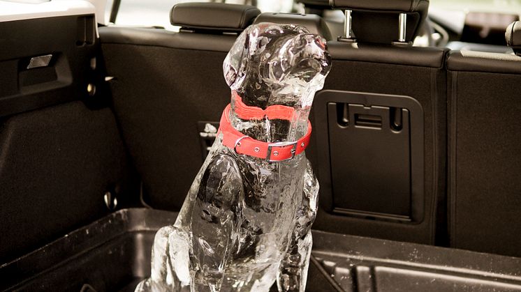 2019_FORD_ICE_DOG_1.jpg