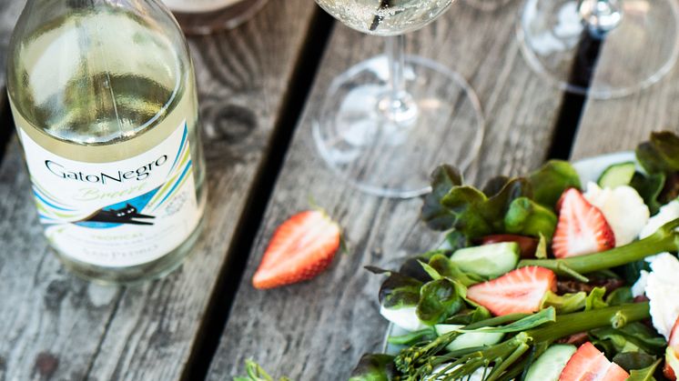 Gato Negro Breeze -wine spritzerit marketteihin