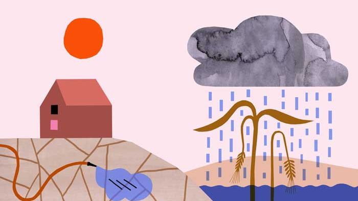 Läs bl.a. om hur hur jordbruket möter ökad torka och väta i senaste Miljötrender från SLU. Illustration: Anna Olsson (Copyright Anna Olsson).