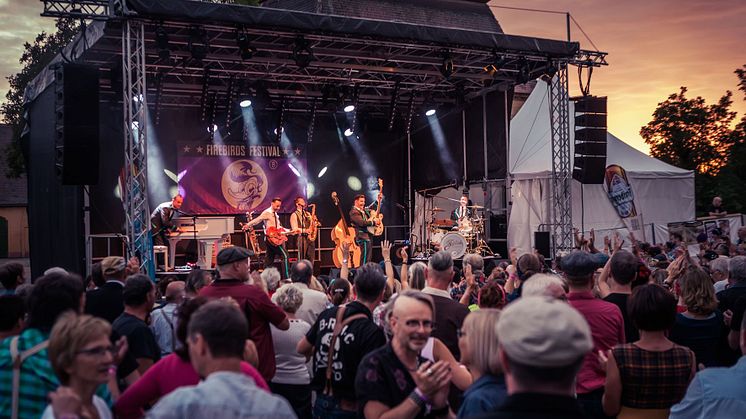 Ausgelassene Stimmung und Bühnen-Performance beim Firebirds Festival - Foto: THE FIREBIRDS 