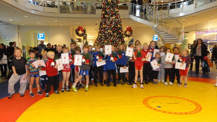 Tomtebrottningen 2011