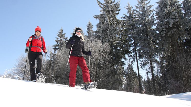 Schneeschuhtouren im Erzgebirge 