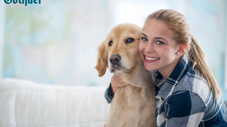 Ein Hund zählt für die meisten Tierhalter als Familienmitglied – deshalb soll er auch die beste Krankenversorgung erhalten, wenn es ihm einmal schlecht geht.