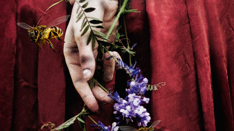 Midsommarbrud av Elisabeth Östnäs