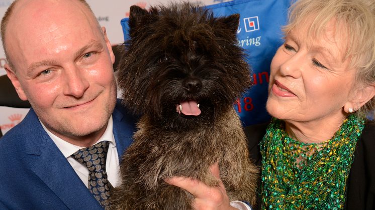 ​Terrier från Hjo utsedd till Årets utställningshund