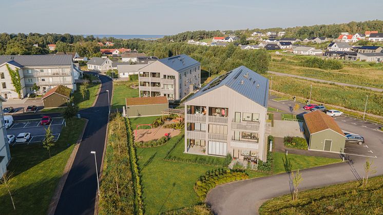 vald1-2 lowres.jpg